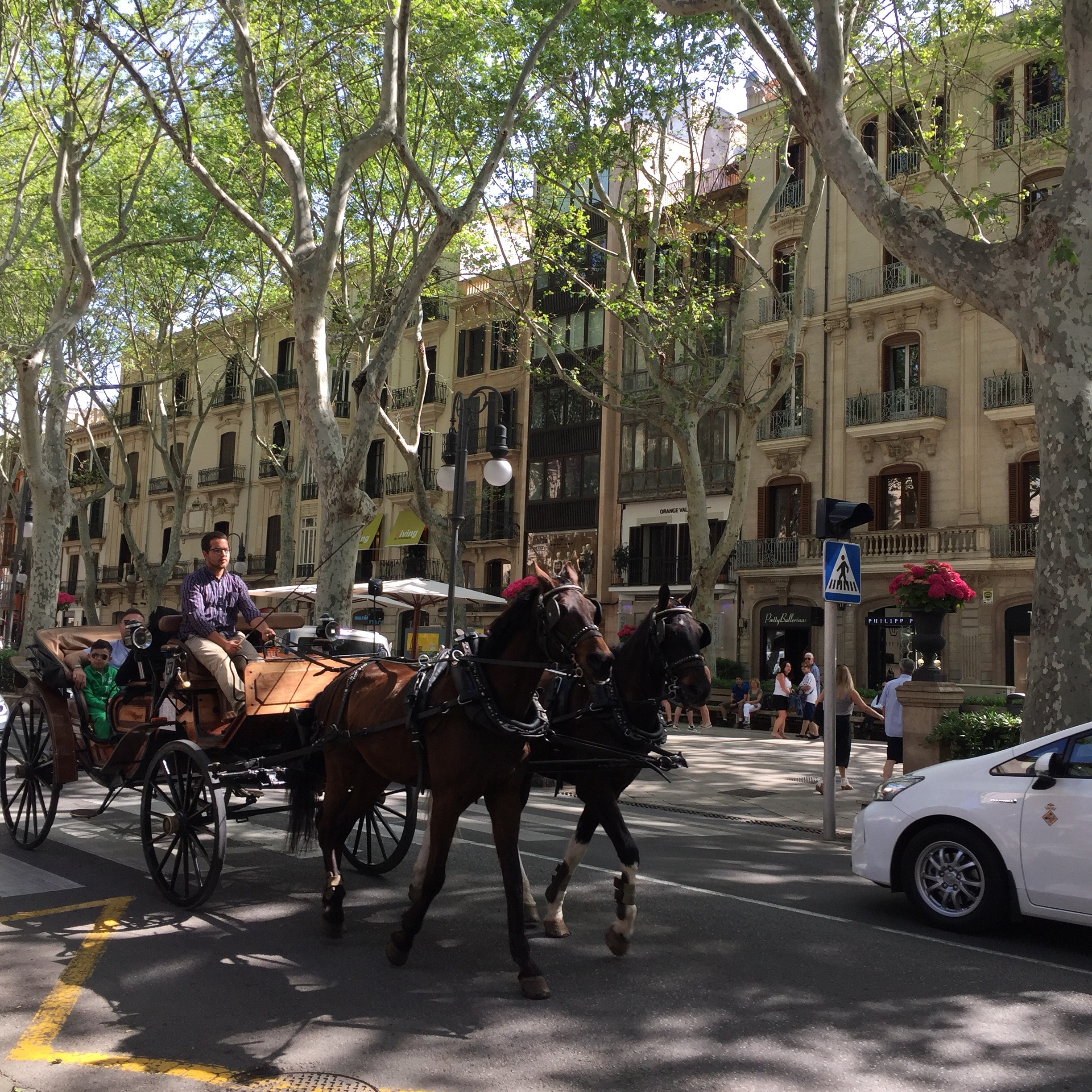 Palma de Mallorca Teil 2 + Gewinner