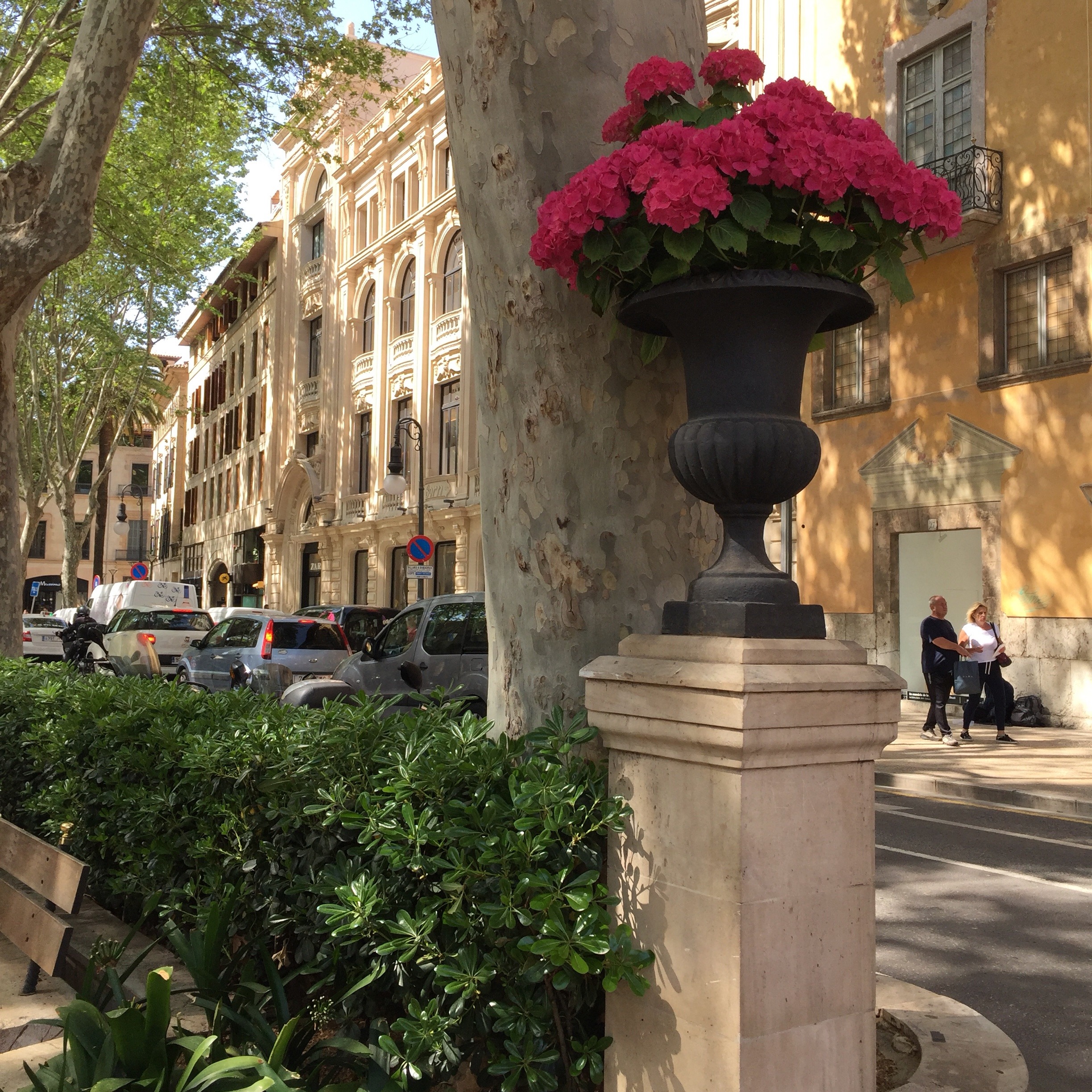 Palma de Mallorca Teil 2 + Gewinner