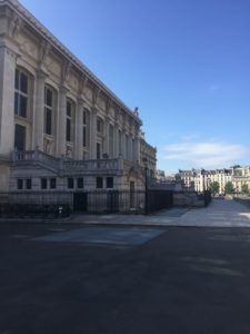 Mein Leben 51: …es wird spannend… was kommt Neues auf den Blog?