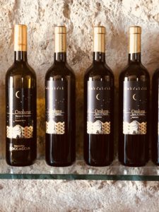 WERBUNG Gastbeitrag von Judith @julesloveandlife: Ein Weingut in der Toskana