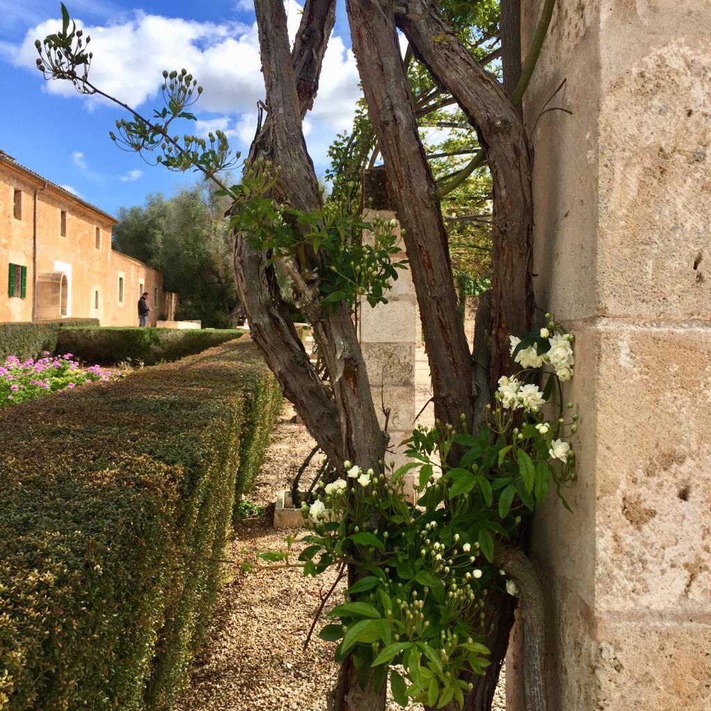 Finca Mallorca Bloggermaman
