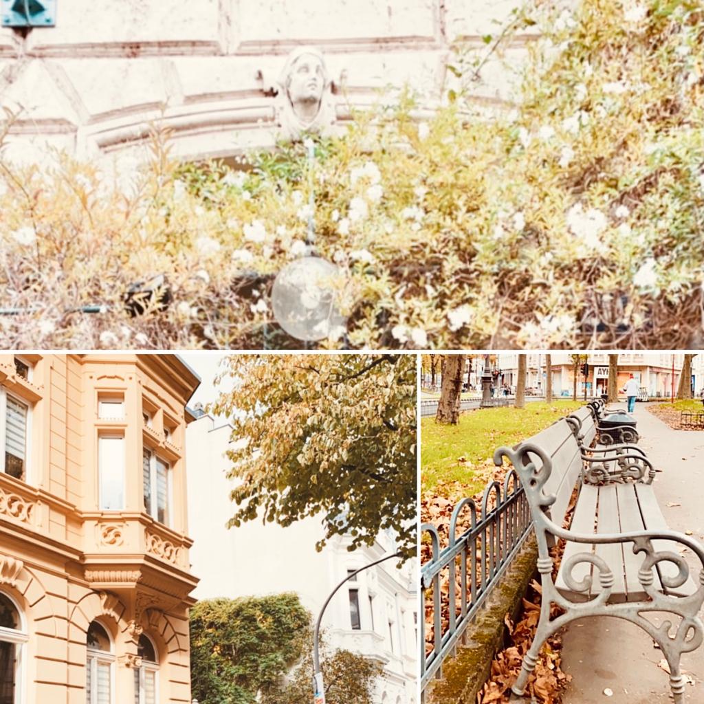 Köln Paris